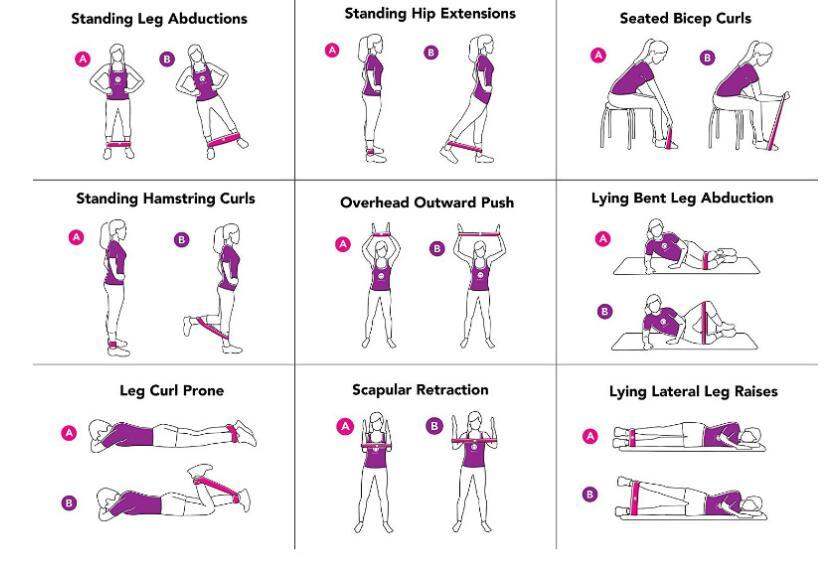 Premium Resistance Bands Set: Complete Home Gym for Strength Training & Yoga - Shofora Store